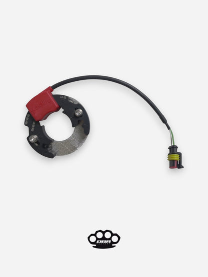 Statore Selettra - KTM Sx 50 Minicross con Piastra Adattamento Carter